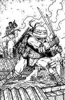 Teenage Mutant Ninja Turtles