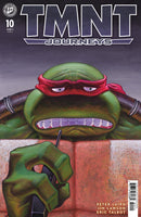 Teenage Mutant Ninja Turtles: Journeys